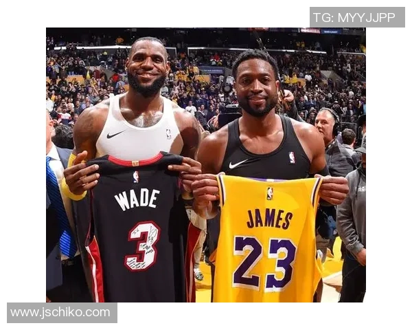 欧文与韦德经典对决视频集锦回顾精彩瞬间与巅峰时刻